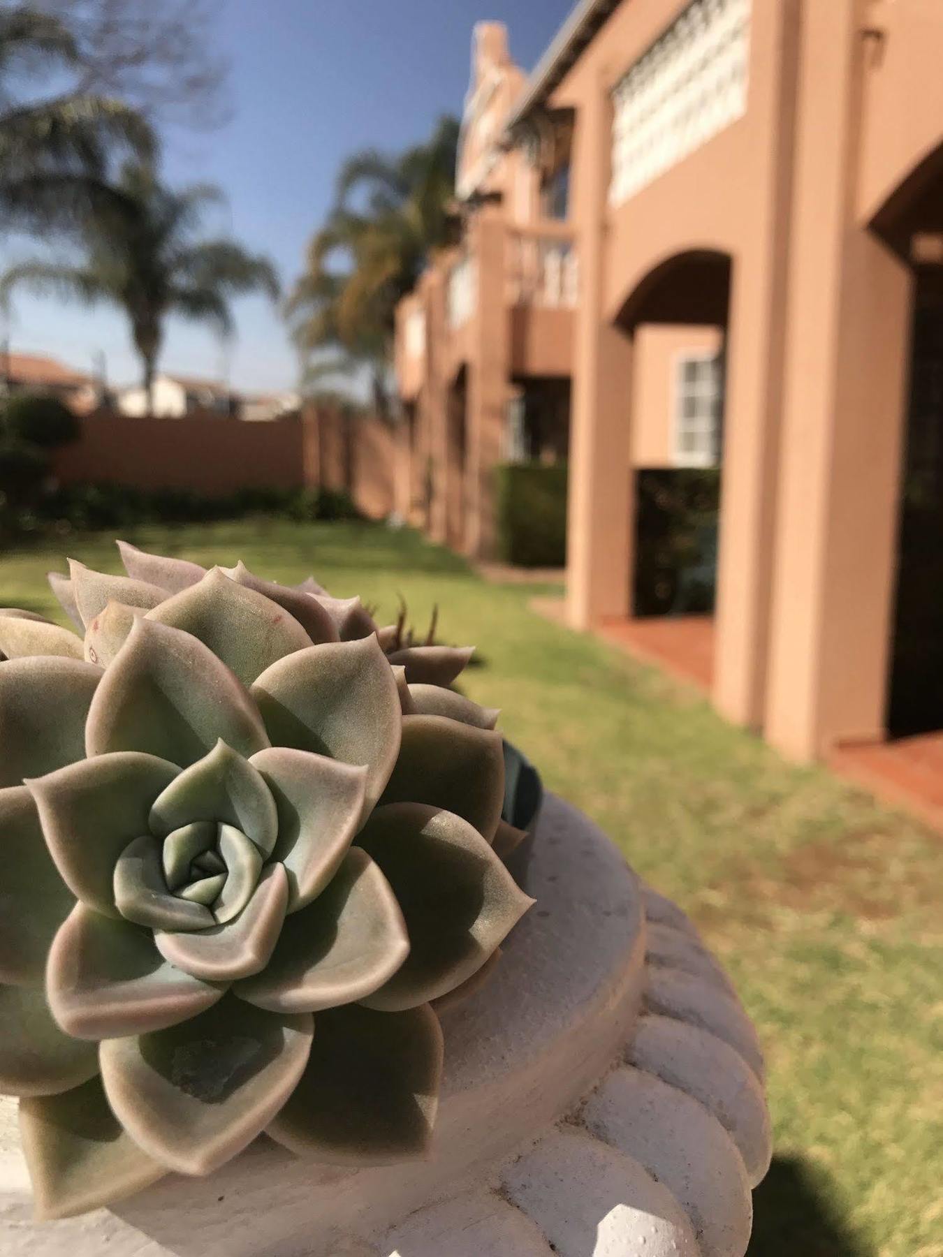 The Elegant Lodge Menlo Park Pretoria-Noord Dış mekan fotoğraf